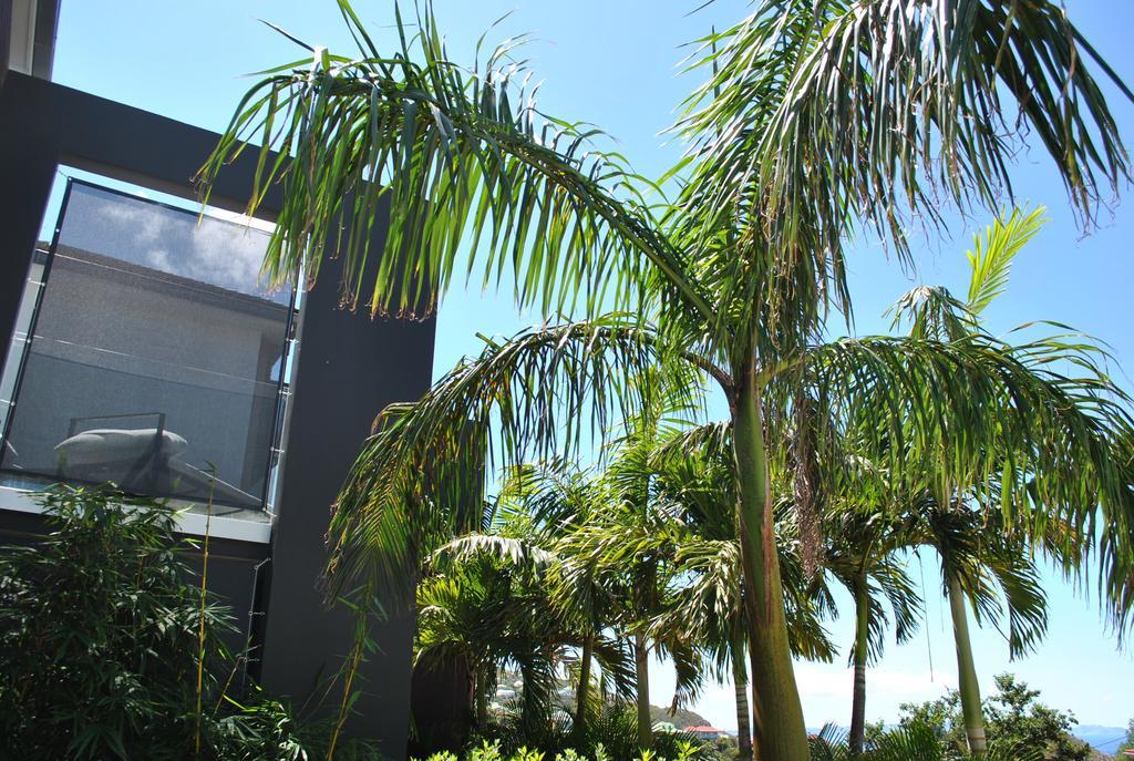 Aparthotel Reve De St. Barth Gustavia Exteriér fotografie