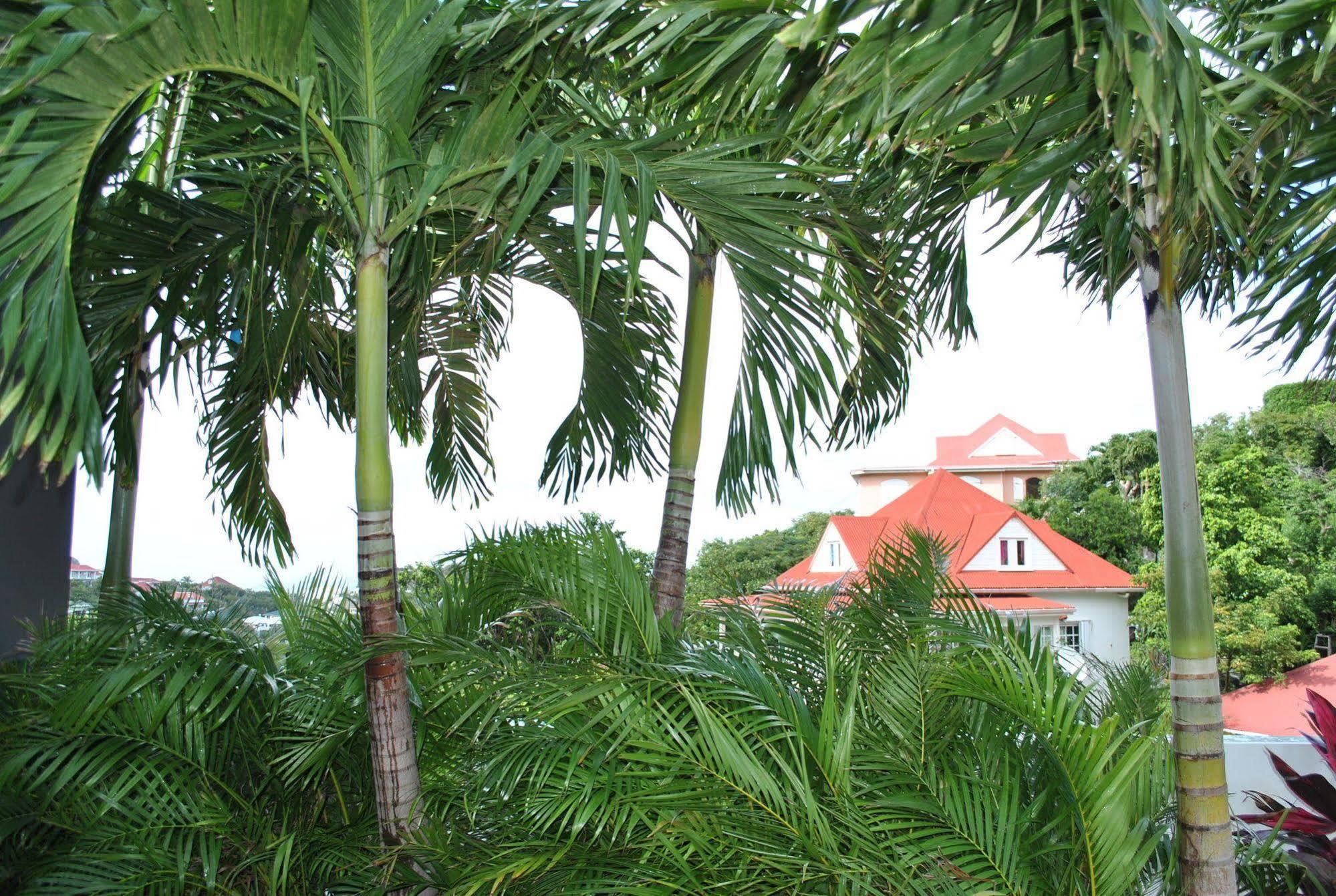 Aparthotel Reve De St. Barth Gustavia Exteriér fotografie