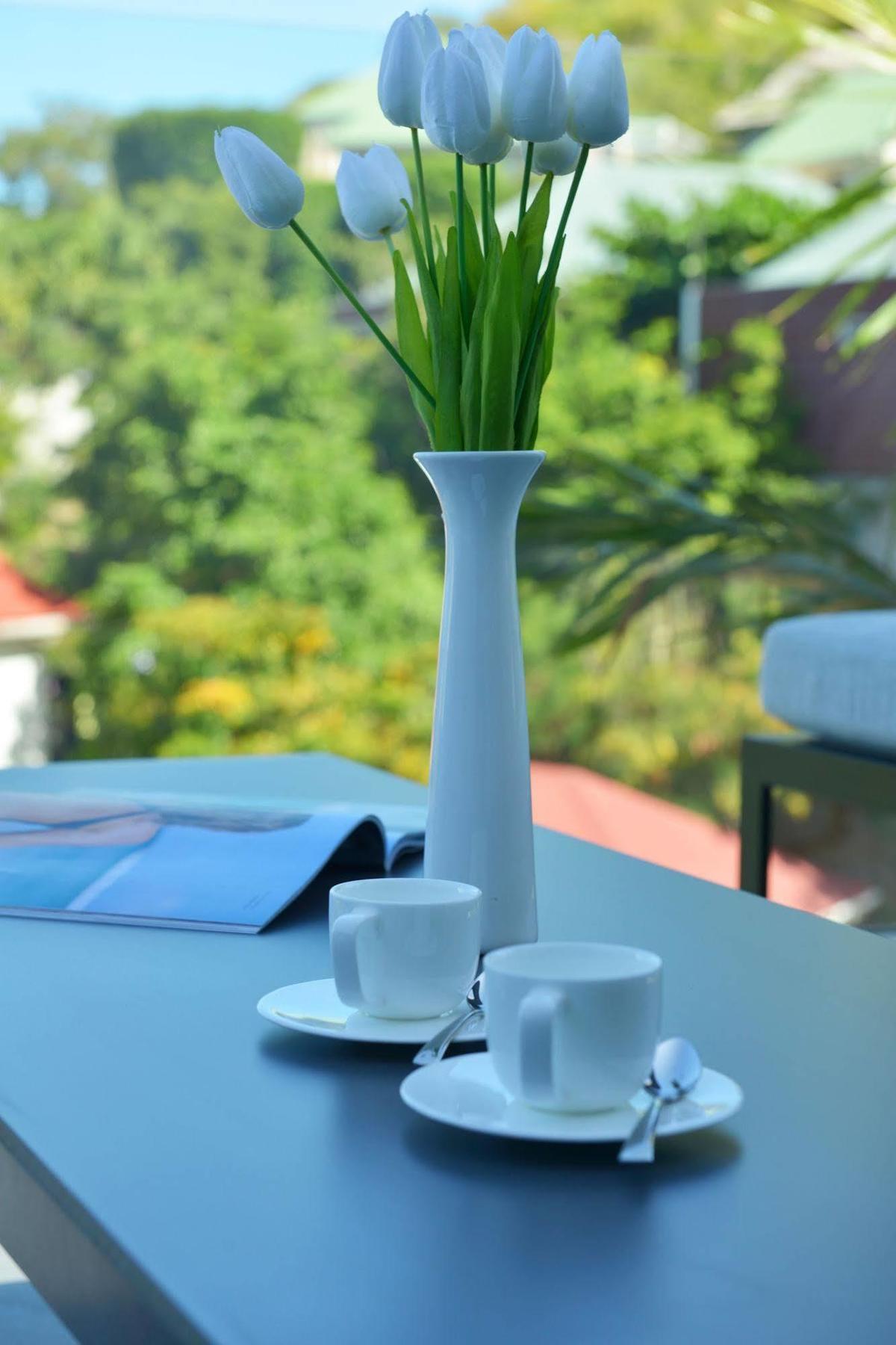 Aparthotel Reve De St. Barth Gustavia Exteriér fotografie